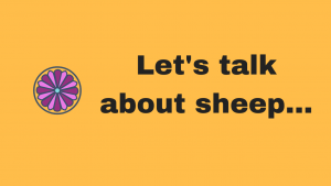 Let's talk about sheep...